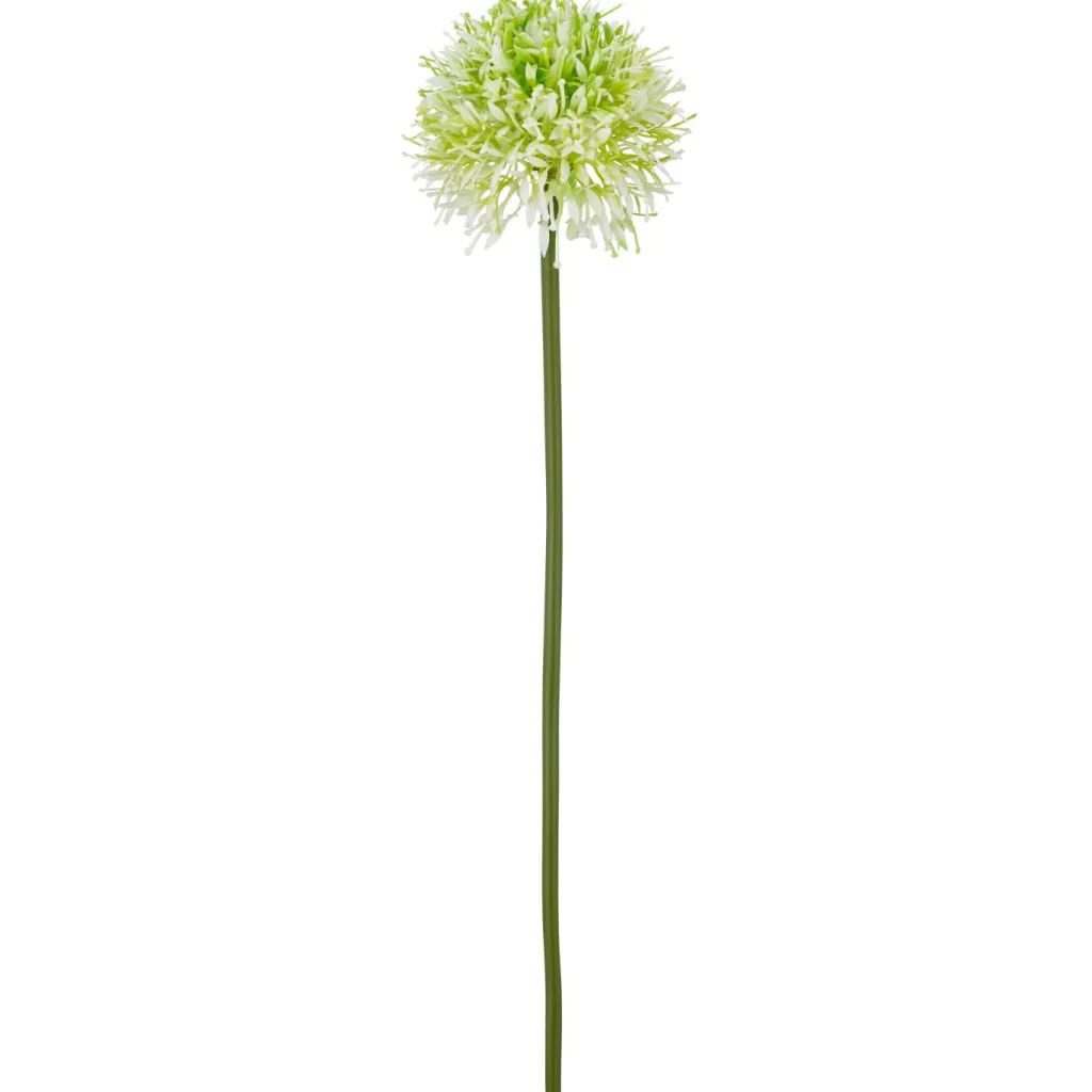 Gasper Fleurs Artificielles<Allium ALLIUM