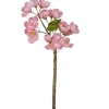 Apfelblütenzweig APFELBLÜTE