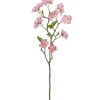 Apfelblütenzweig APFELBLÜTE