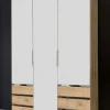 Armoire à portes battantes LEVEL 36 A