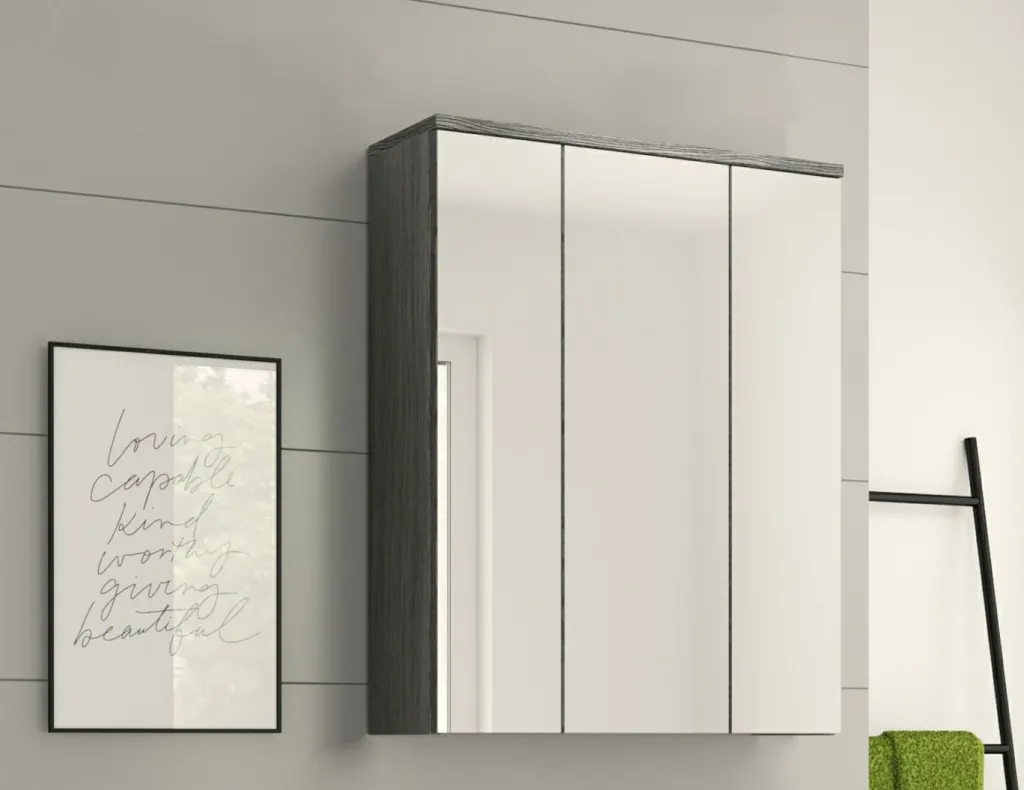 Xonox Armoires De Toilette|Armoires De Salle De Bains<Armoire de toilette ASSELA