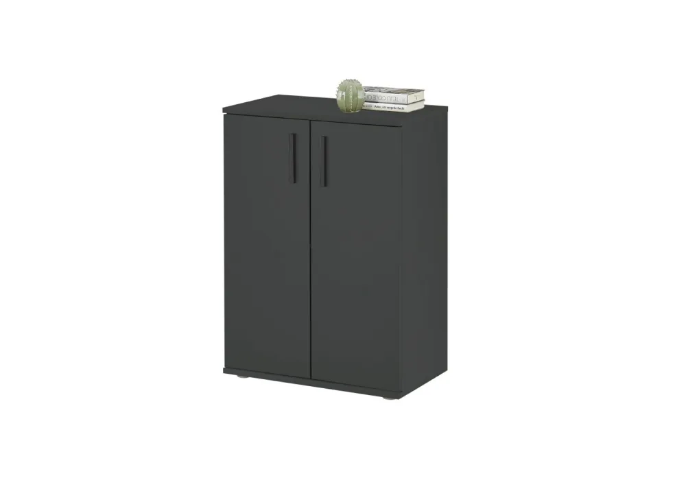 Bahut BC 1040