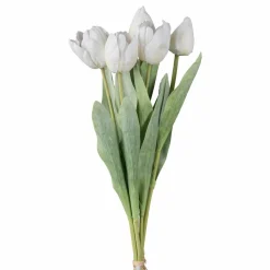 Bouquet de 5 tulipes TULPE