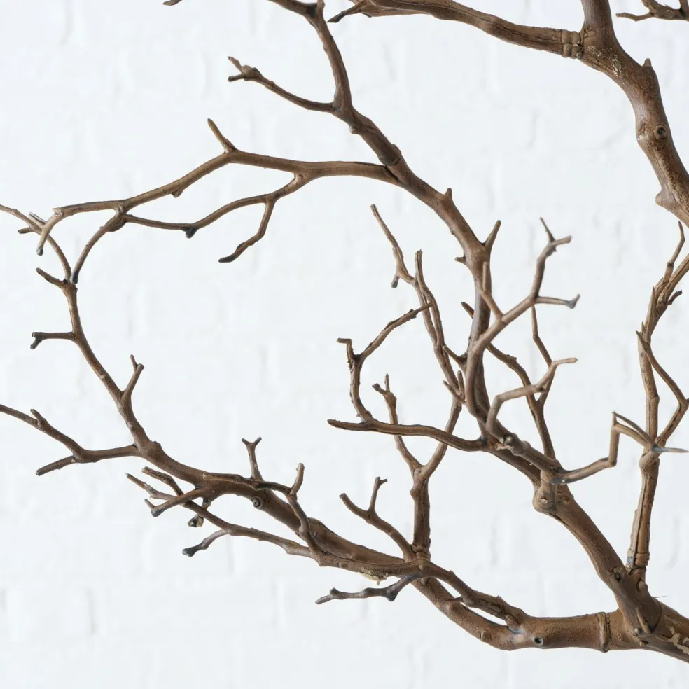 Branche décorative ASTRA