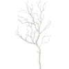 Branche décorative ASTRA