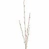 Boltze Fleurs Artificielles<Branche décorative chatons de saule FLOWERS