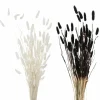 Boltze Fleurs Artificielles<Branche décorative SAMTGRAS