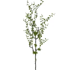 Gasper Fleurs Artificielles<Branche de Muhlenbeckia FLOWERS