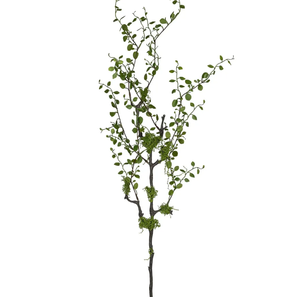 Gasper Fleurs Artificielles<Branche de Muhlenbeckia FLOWERS