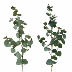 Branche d'eucalyptus FLOWERS