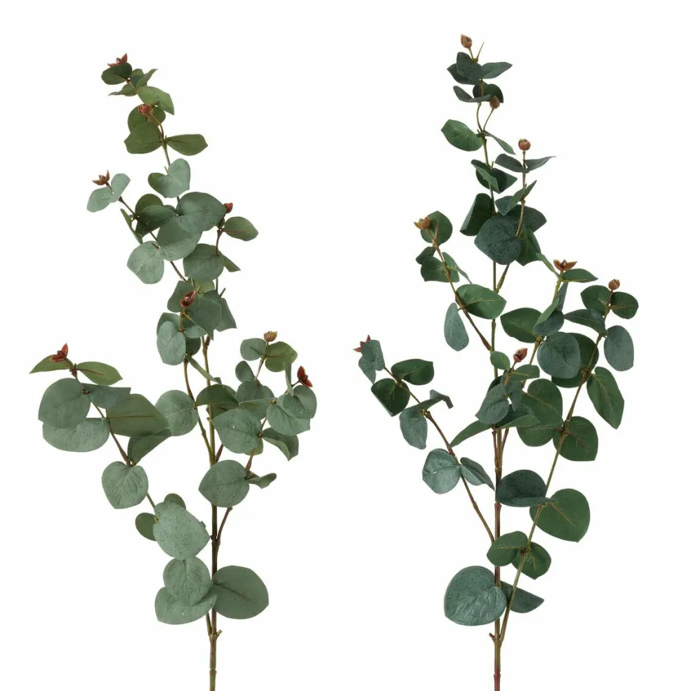 Branche d'eucalyptus FLOWERS