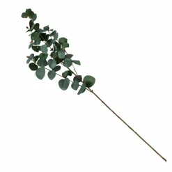 Branche d'eucalyptus FLOWERS