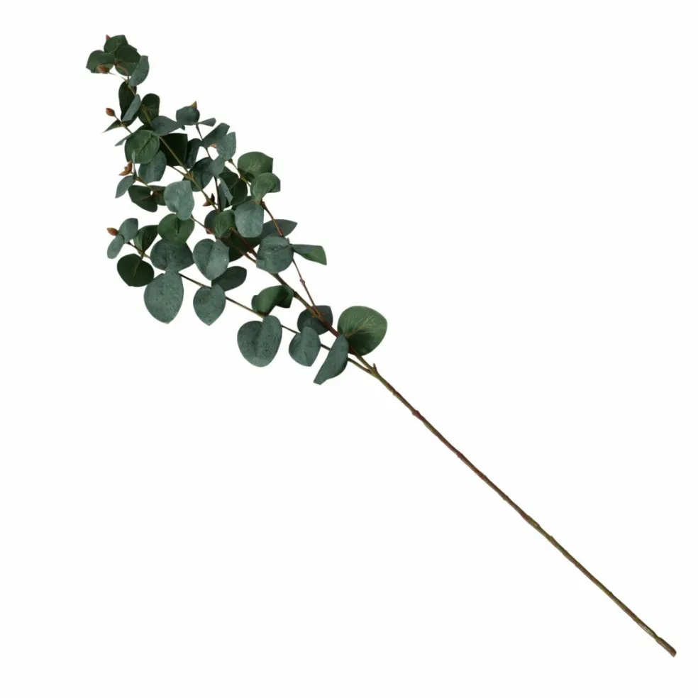 Branche d'eucalyptus FLOWERS