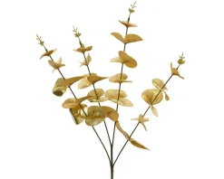 Branche d'eucalyptus FLOWERS
