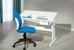 Inter Link Bureaux<Bureau junior BARU