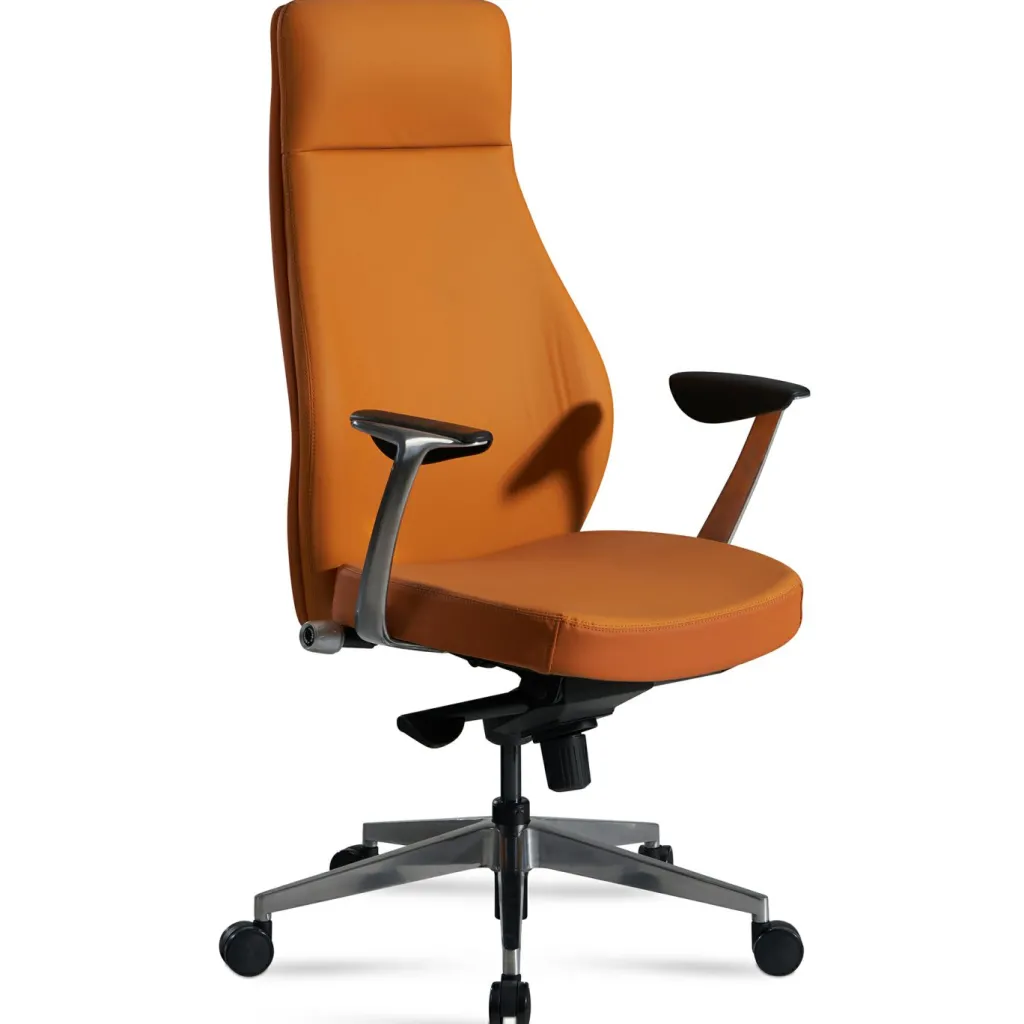 Skyport Chaises De Bureau<Chaise de bureau ARCAHAIE