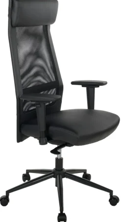 Chaise de bureau AUERBERG