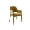MCA Direkt Chaises Rembourrées|Chaises À Accoudoirs<Chaise rembourrée ALPENA