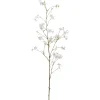 Cornuszweig REAL TOUCH