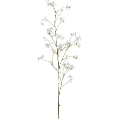 Cornuszweig REAL TOUCH