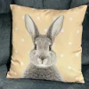 Cosima Rideaux|Coussins<Coussin garni ROGER