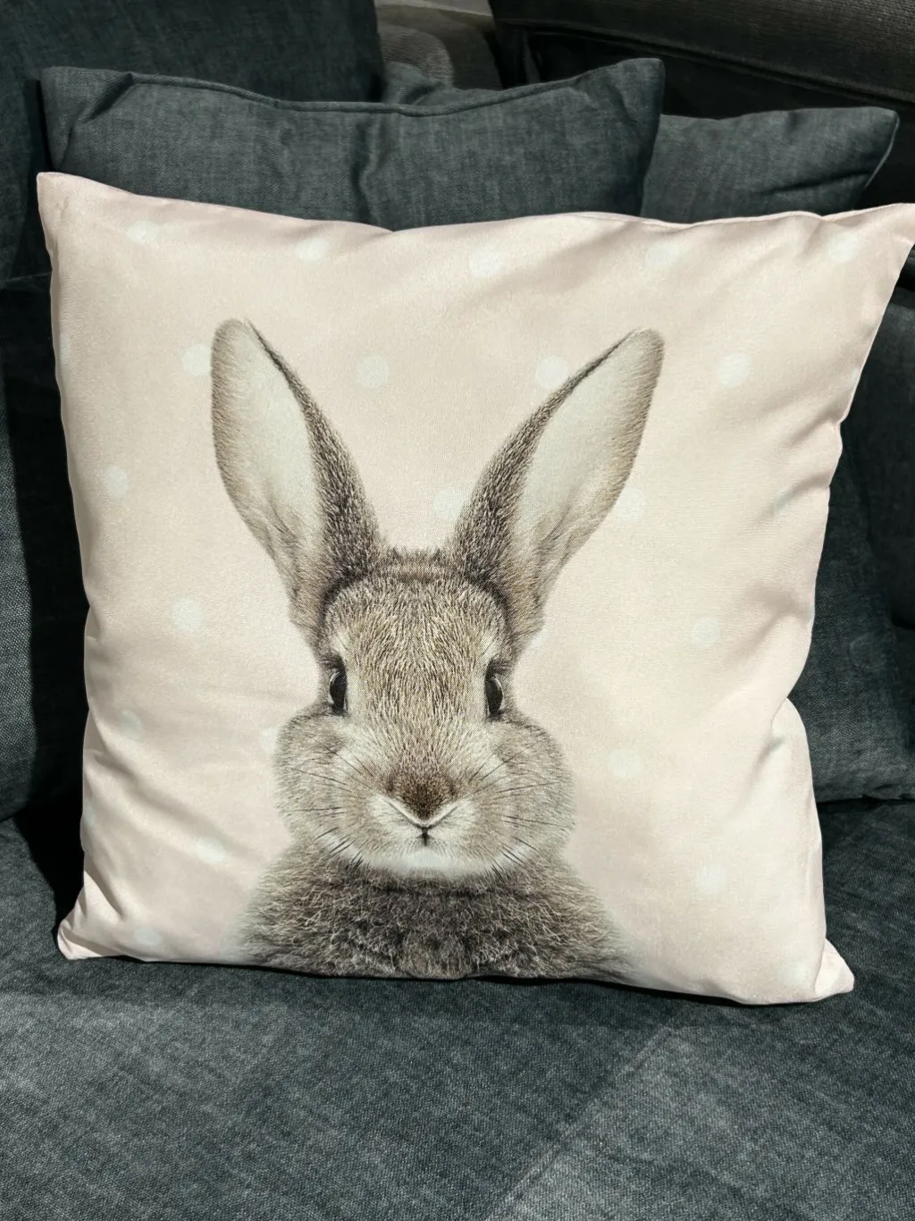 Cosima Rideaux|Coussins<Coussin garni ROGER