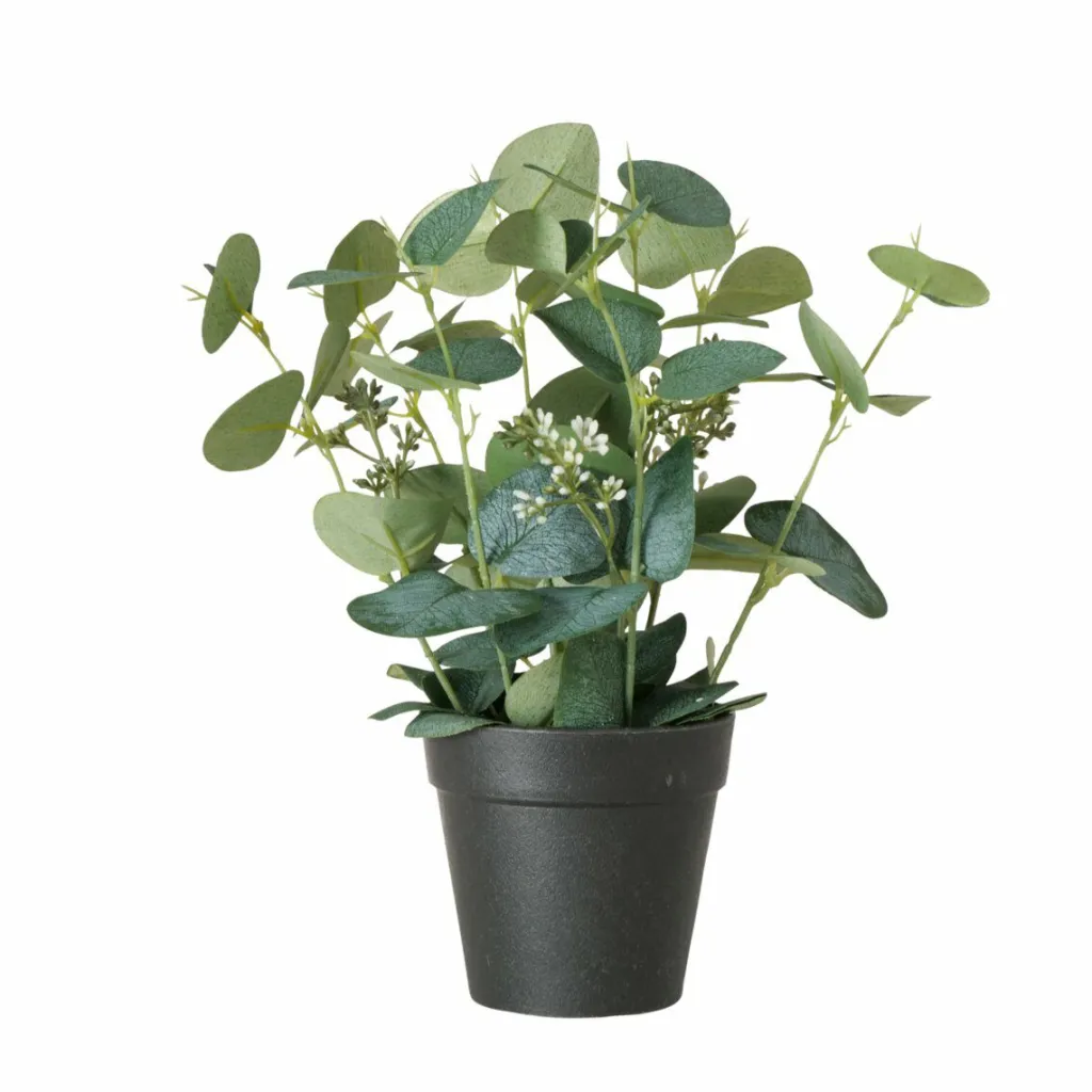 Boltze Fleurs Artificielles<Eucalyptus en pot FLOWERS