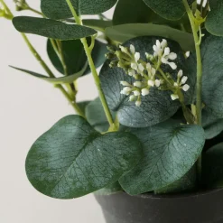 Boltze Fleurs Artificielles<Eucalyptus en pot FLOWERS