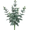 Eukalyptusbusch EUKALYPTUS