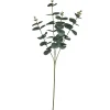 Gasper Fleurs Artificielles<Eukalyptuszweig EUKALYPTUS
