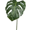 Feuille de philodendron FLOWERS