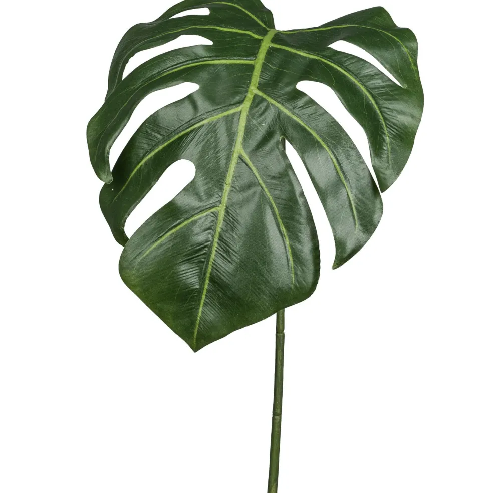 Feuille de philodendron FLOWERS