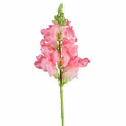 Fleur décorative LÖWENMÄULCHEN