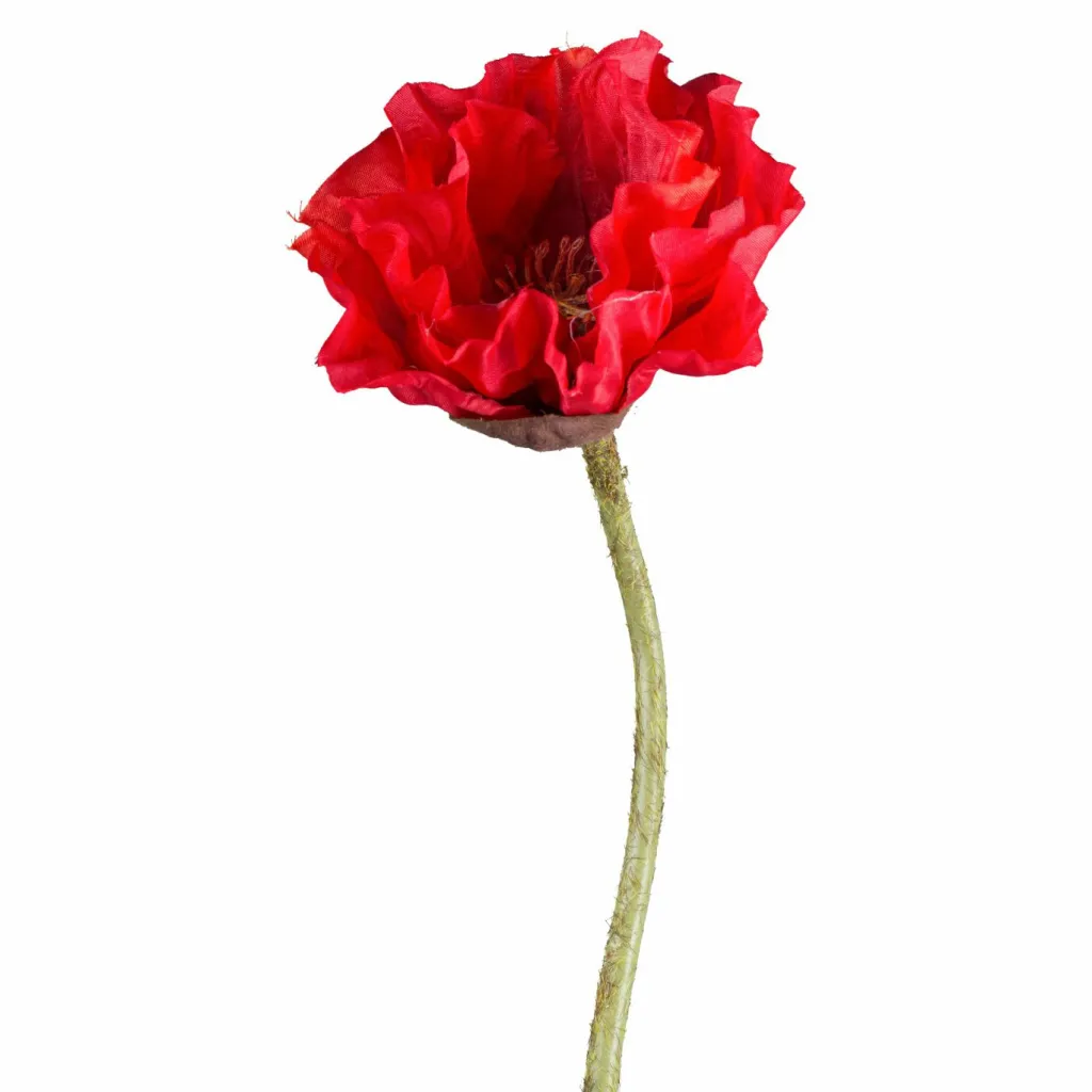 Gasper Fleurs Artificielles<Fleur décorative MOHN