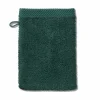 Gant de toilette vert alpin LADESSA