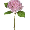 Hortensia FLOWERS