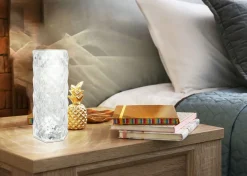 Globo Leuchten Lampes Décoratives|Lampes De Table<Lampe de table LED GIXI