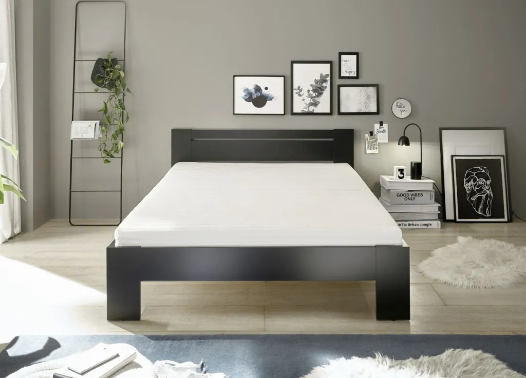 Pol-Power Lits Double|Lits Futon<Lit futon CANNES