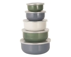 Lot de 5 boîtes alimentaires ALYTHIA