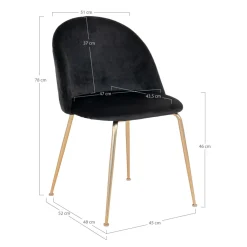Lot de 2 chaises GENEVE