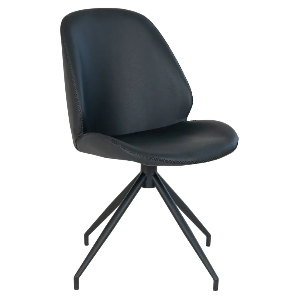 Lot de 2 chaises MONTE