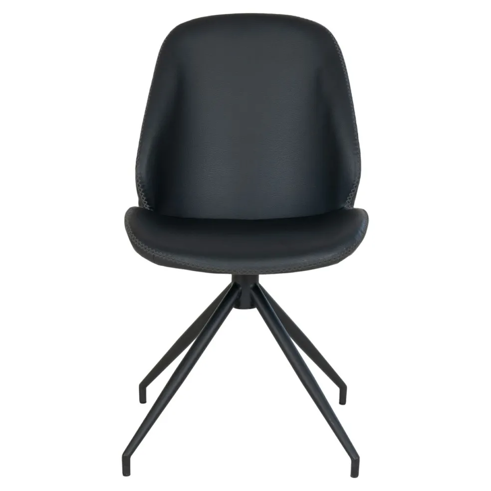 Lot de 2 chaises MONTE