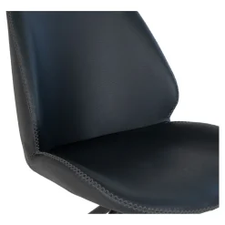 Lot de 2 chaises MONTE