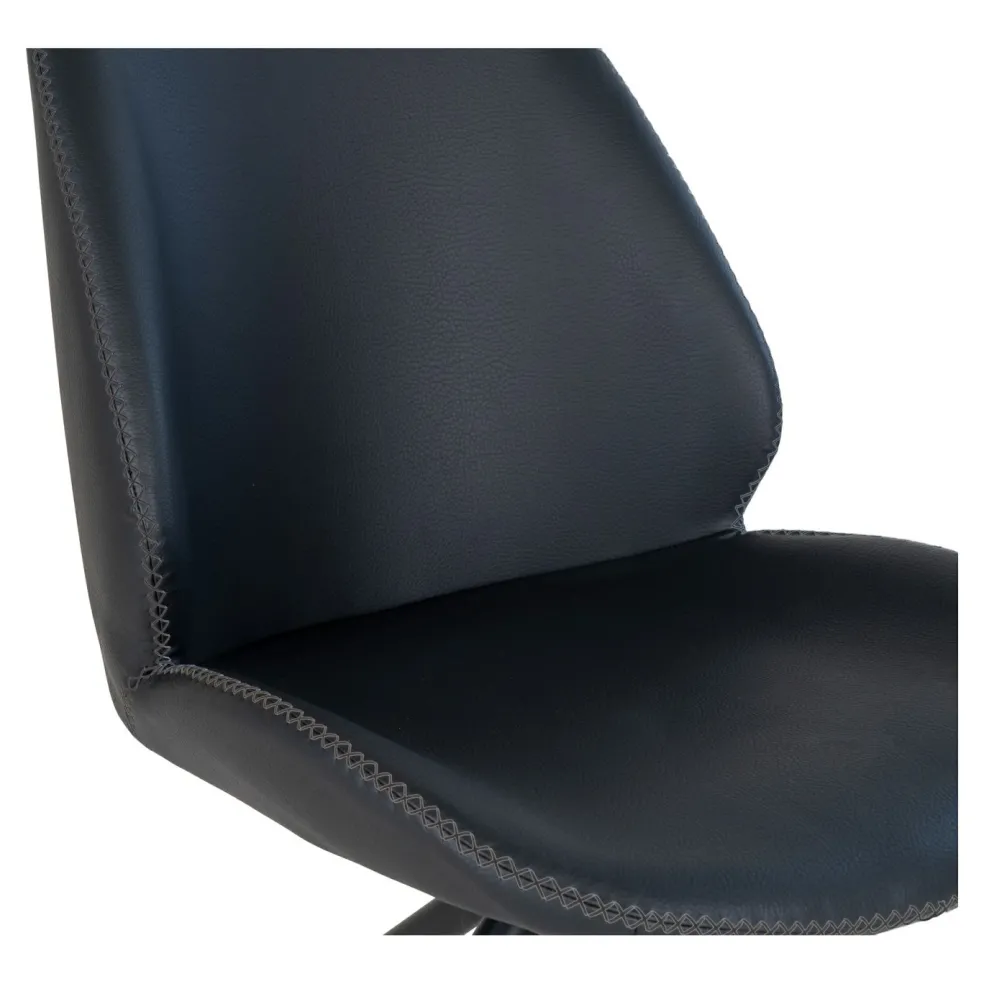 Lot de 2 chaises MONTE