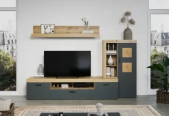 Mur TV FUKUI