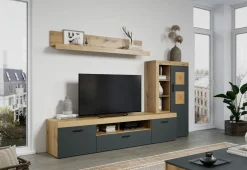 Mur TV FUKUI