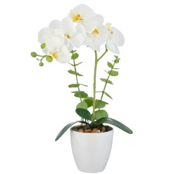 Orchidee im Topf REAL TOUCH