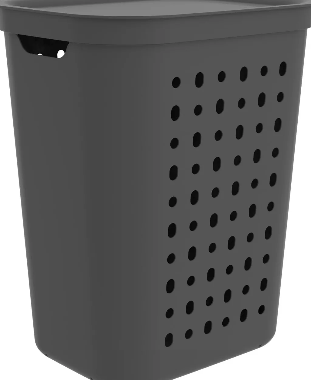 Rotho Accessoires Sdb|Paniers À Linge<Panier à linge 55 litres JONA