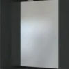Panneau miroir 60 DAVOS