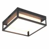 Trio Leuchten Plafonniers|Plafonniers D'Extérieur<Plafonnier LED WITHAM